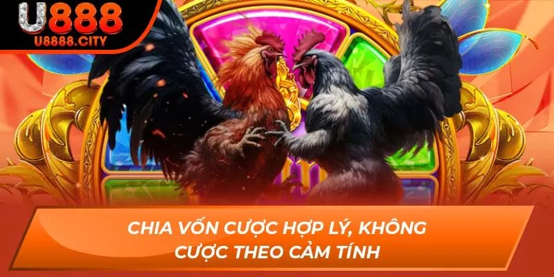 Hướng Dẫn Anh Em Đá Gà Online Bách Chiến Bách Thắng Tại U888 3 Chia vốn cược hợp lý, không cược theo cảm tính