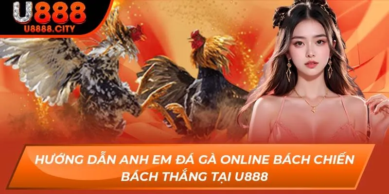 Hướng Dẫn Anh Em Đá Gà Online Bách Chiến Bách Thắng Tại U888 4 Hướng Dẫn Anh Em Đá Gà Online Bách Chiến Bách Thắng Tại U888