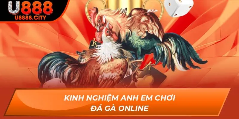 Hướng Dẫn Anh Em Đá Gà Online Bách Chiến Bách Thắng Tại U888 2 Kinh nghiệm anh em chơi Đá Gà Online